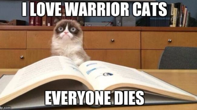 Ehehehe Grumpy Cat Warrior Cat Memes