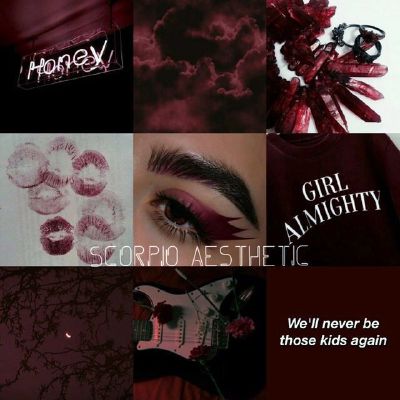 Scorpio Aesthetic Zodiac Signs Squad 5