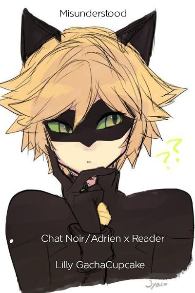 Misunderstood Chat Noiradrien X Reader