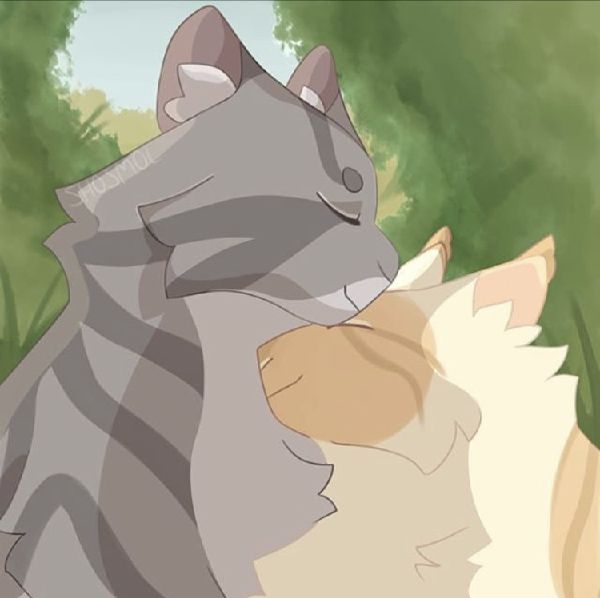 Worst Warrior Cat Couples Poll