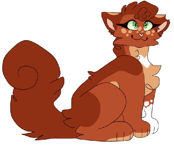 What should be your warrior cat oc? Quiz