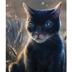 Warriors New Prophecy Quizzes