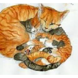 Who Is Your Warrior Cat Mate Quizzes