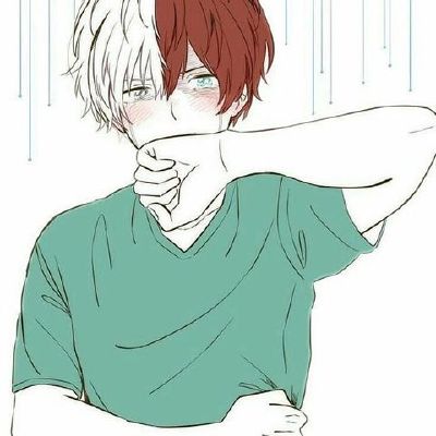 I love you | Shouto Todoroki | Boku No Hero Academia | | Hanahaki ...