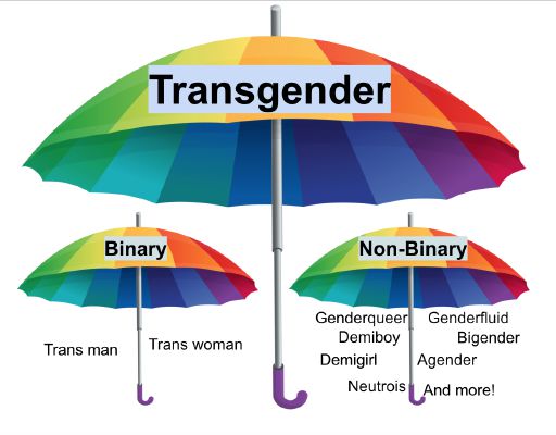 Trans resources