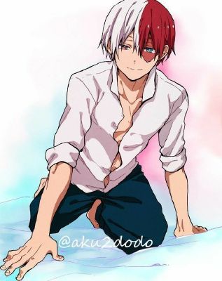 Fangirl Meter [shoto Todoroki Edition] - Quiz