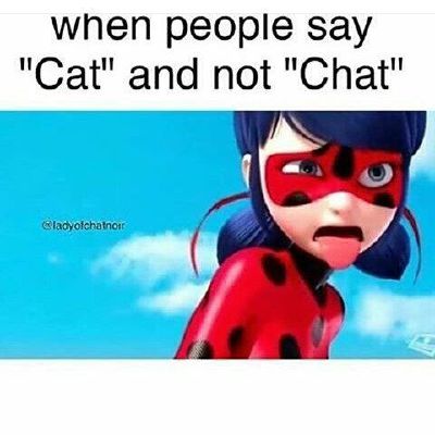 The Phoenix Miraculous Ladybug