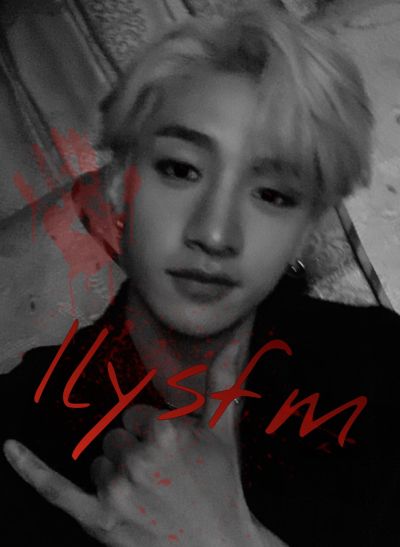 Ilysfm (Stray Kids X Reader)