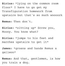 Marauders Memes