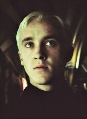 Draco's Girl or Friend? - Quiz