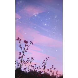 Vsco Quizzes