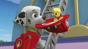 paw patrol pup pup goose