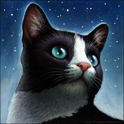 What Warrior Cat Are You New Prophecy Quiz