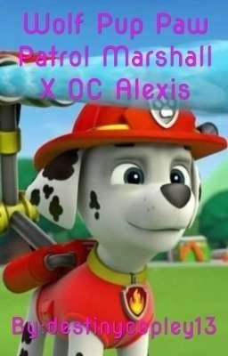 ryder x reader paw patrol