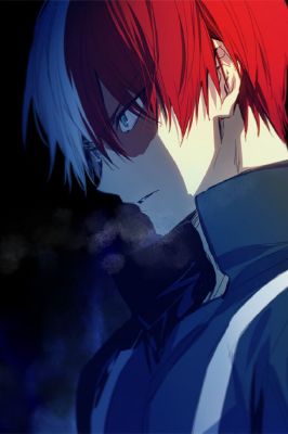 Chapter V Dangerous Expectations Shoto Todoroki X Reader