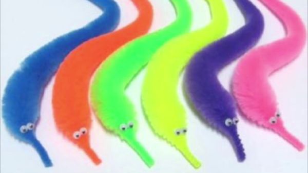 Which color of worm on a string are you? - Quiz