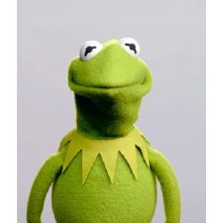 Kermit the Frog memes