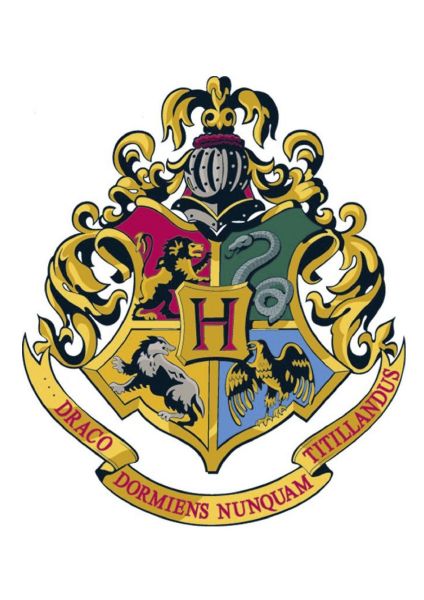 What's Your Hogwarts House - Quiz