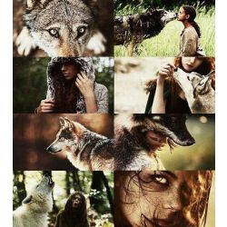 Loup Stories