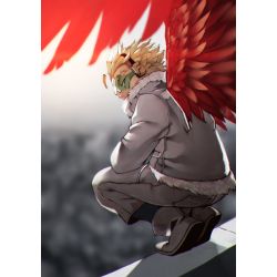 Mha Hawks Agency - bnha hawks on Tumblr / Heroes rising in a minor yet