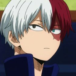 Todoroki Shoto Aesthetic Pfp - Goimages Signs