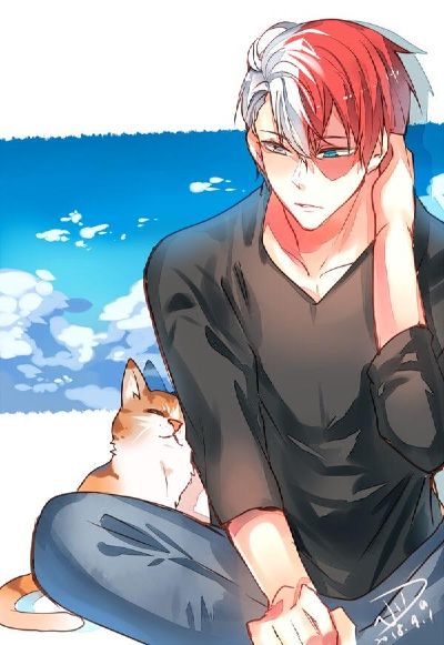 I'll definitely save you! | cat!Todoroki Shouto x reader