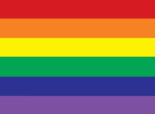 Lgbtqia+ flag quiz - Test