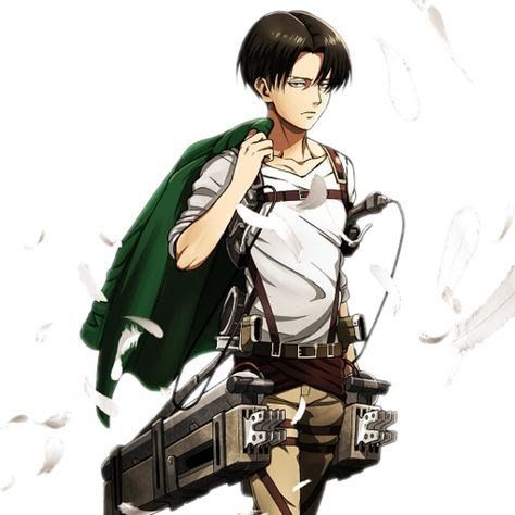 What does Levi Ackerman think of you? - Quiz