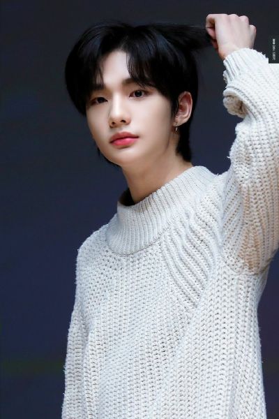Serendipity~Hwang Hyunjin X Reader~Oneshot~