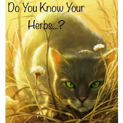 Warriors Herbs Quizzes