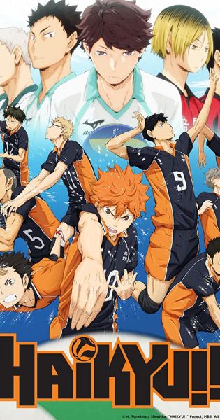 Haikyuu X Reader || Oneshots