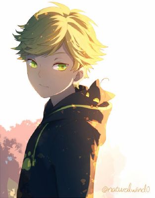 Adrien Agreste X Female Reader Not So Short Miraculous One Shots Requests Temporarily Closed