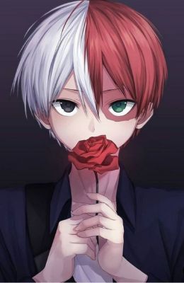 Jealousy Forbidden Love Shoto Todoroki X Fem Reader