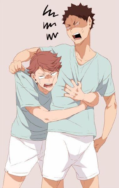 My Kings - [ Iwaizumi X Reader X Oikawa ]