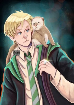 Ferret | hogwarts boys one shots and preference