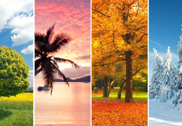 Which season represents you? - Quiz