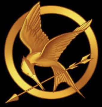 Honor Lesaoana 69th Hunger Games