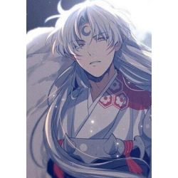 two world- sesshomaru x reader