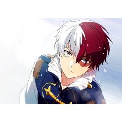 New Todoroki Shouto Quizzes