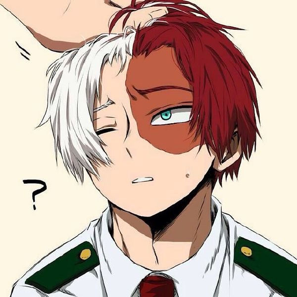 Should U Date Todoroki Quiz