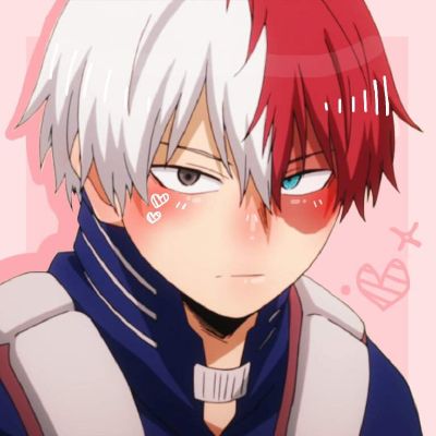 Shoto Todoroki | Apologies | Bnha/mha x reader oneshots :)