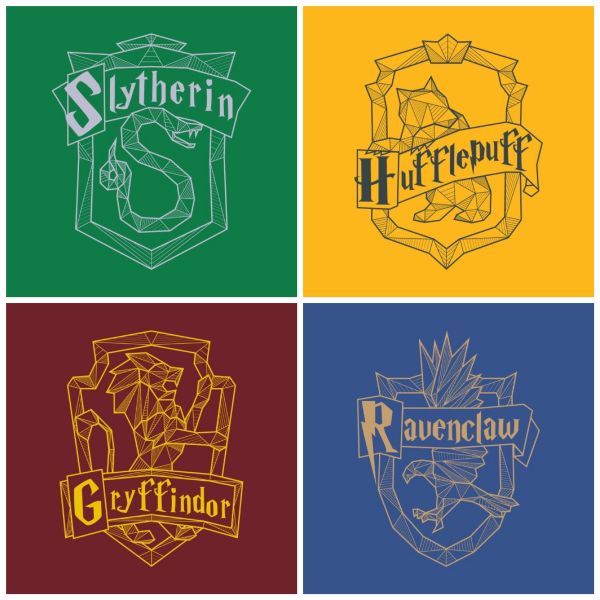 Hogwarts: A New Generation; (sorting quiz) - Quiz