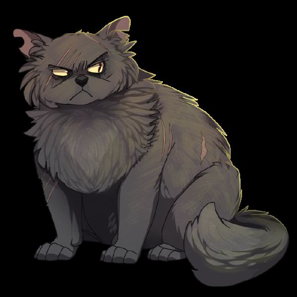 create your own warrior cat and play