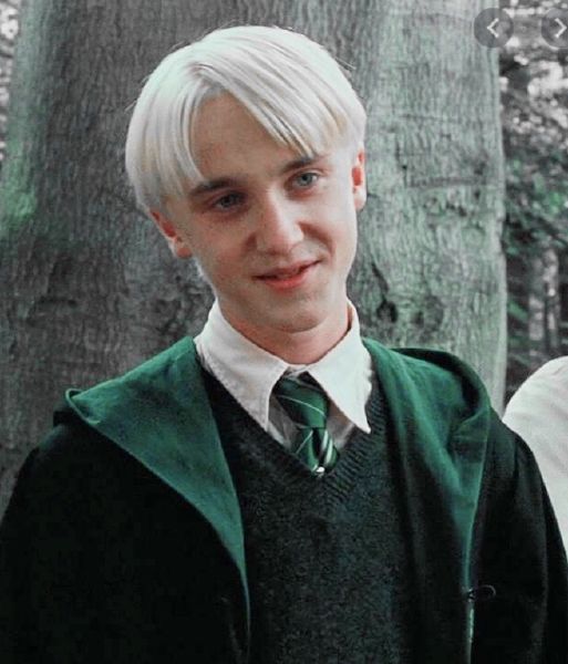 How well do you know Draco Malfoy - Test