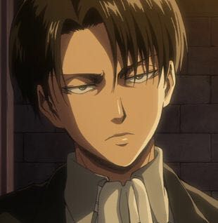 What does Levi Ackerman Think of You? - Quiz