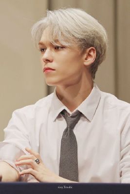 Vernon Seventeen K Pop Profiles