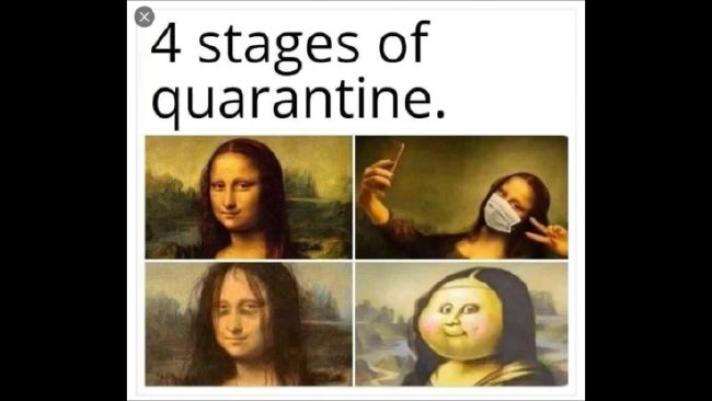 Featured image of post Mona Lisa Meme Quarantine