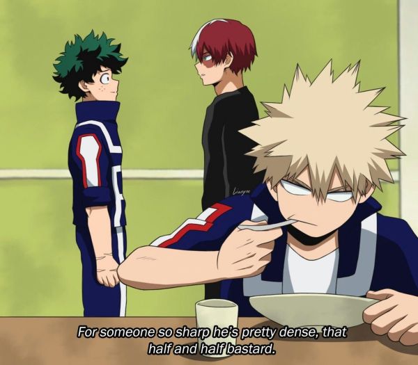 Would you be best friends with Deku, Todoroki or Bakugo? Quiz