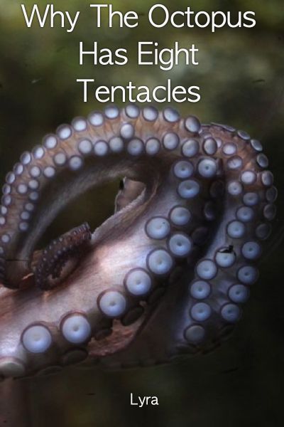 how many tentacles do octopus have