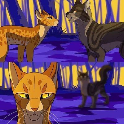 Warrior Cats - Ship or Rip - Survey